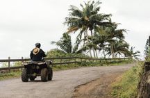 Private Quad Tour to El Limón Waterfall with Transfer