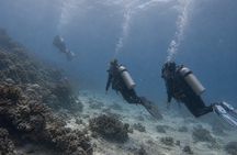 PADI Open Water Diver Course in Curacao Small Groups