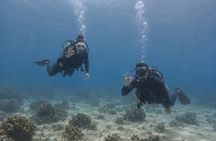 PADI Open Water Diver Course in Curacao Small Groups