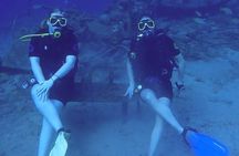 Personalized Guided Shore Dive in Curaçao 1 or 2 Tanks