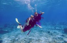 Personalized Guided Shore Dive in Curaçao 1 or 2 Tanks