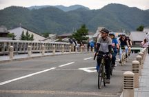 Kyoto E-Bike Tour: Bamboo Forest, Golden Pavilion & Zen Temple