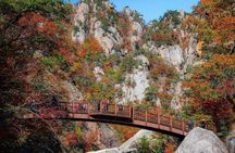 Seoraksan National Park & Nami Island