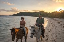 Turks & Caicos Sunset Horseback Ride at Blue Hills Beach