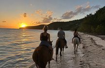 Turks & Caicos Sunset Horseback Ride at Blue Hills Beach