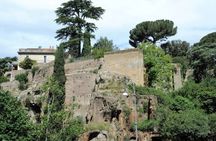 Rome Ancient City Tour From Mouth of Truth to the Colosseum