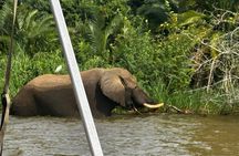 Rwanda Safari - 1 Day Akagera Big Five Safari from Kigali