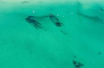 Outer Banks Introduction Helicopter Tour