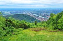 Unpacked tour with city, castle, philosopher's path & royal chair