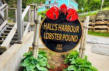 Annapolis Valley Experience Small Group Full Day Tour