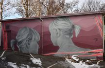 Reykjavik Street Art Backstreets and Stories