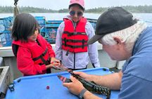 Lobsters & Legacy: An Authentic Lunenburg Experience
