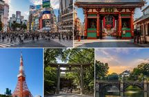 Tokyo Private 5 hours Layover Tour with Guide