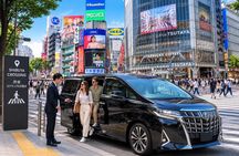 Tokyo Private 5 hours Layover Tour with Guide