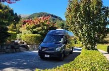 Arrowtown & Queenstown Kiwi Special Tour, Local discovery tour.