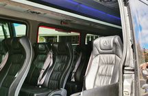 Arrowtown & Queenstown Kiwi Special Tour, Local discovery tour.
