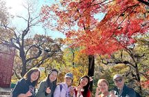 Naejangsan National Park Autumn Foliage One Day Tour from Seoul