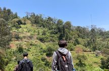 Kilimanjaro 1 Day trip