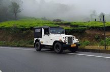 Anakulam Jeep Safari Tour with Waterfalls and Wild Elephants