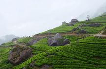 Anakulam Jeep Safari Tour with Waterfalls and Wild Elephants