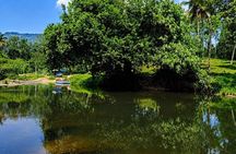 Anakulam Jeep Safari Tour with Waterfalls and Wild Elephants