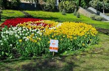 Chisinau Odesa City History and Culture Tour