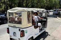 Discover Iconic Landmarks and Culture in Seville by Tuk Tuk