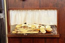 Krakow: Street Food Tasting Walking Tour