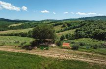 Maliosa Natural Picnic