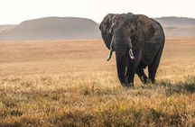 4 Day Signature Family Wildlife Adventure Masai Mara Safari