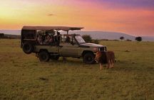 4 Day Signature Family Wildlife Adventure Masai Mara Safari