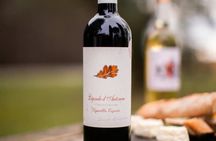 Domaine de la Higuère, Tour, Tasting and Accords Food, Wines