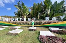 Montego Bay Scenic Tour