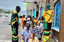 Montego Bay Scenic Tour