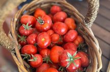 Santorini Family Farm Food & Wine Tour with Cooking Class