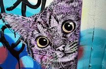 RiNo Street Art Stroll - Tour of Denvers Famous Murals & Graffiti