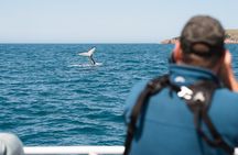 Wilsons Prom Whale Cruise