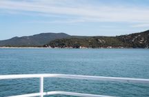 Wilsons Prom Whale Cruise