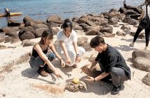 Yacht Island Hopping Tour Culture Food Tasting and Volcanic Rocks