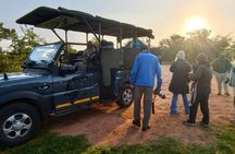 Kruger National Park Safaris