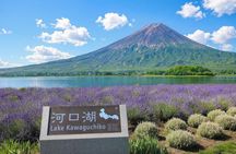Tokyo / Shinjuku: Mount Fuji Day Tour Lake Kawaguchi & Yamanaka