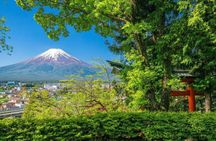 Mount Fuji Full Day Tour from Tokyo Lake Kawaguchi & Yamanaka