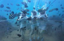 Cham Island Sea Trek and Snorkeling by Speedboat