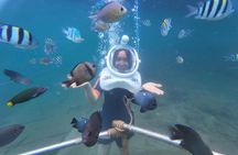 Full-day Cham Islands Cruise from Hoi An with Underwater Walking Excursion