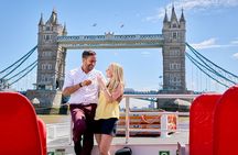 Official Tower of London River Tour Sightseeing River Cruise