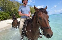 Bahamas, Beach Horseback Riding & Ocean Swim Experience