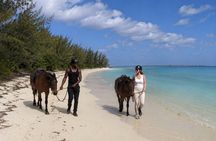 Bahamas, Beach Horseback Riding & Ocean Swim Experience