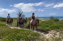 Bahamas, Beach Horseback Riding & Ocean Swim Experience