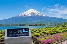 Mt. Fuji, Ninja Village, Oishi Park and Chureito Pagoda Day Tour