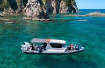 Coromandel Adventure and Wildlife Boat Tour to Aldermen Islands